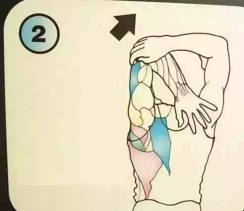 15a6bb42680d4beea1afd7d701846ea9.jpeg 15a6bb42680d4beea1afd7d701846ea9.jpeg