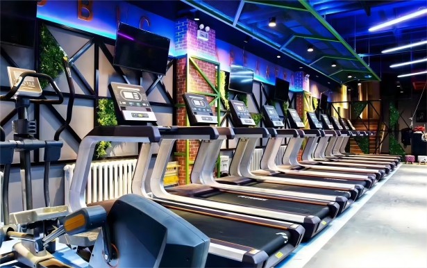 遵循健身原則，達到理想化健身效果。 