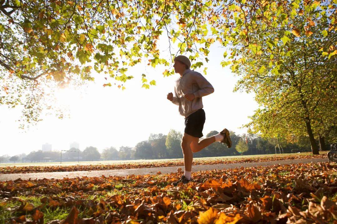 bc4d800b1ab44b8da2ea93297d0c51c2.jpeg bc4d800b1ab44b8da2ea93297d0c51c2.jpeg